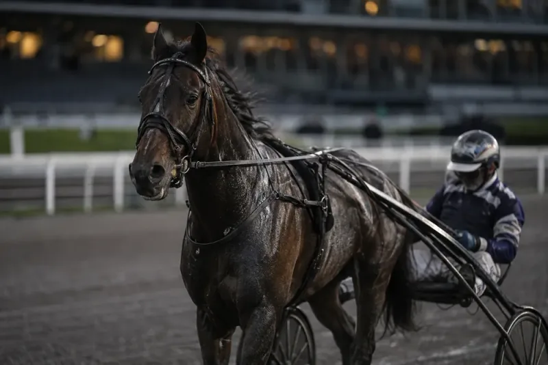 Francesco Zet avslutar karriären efter skada
