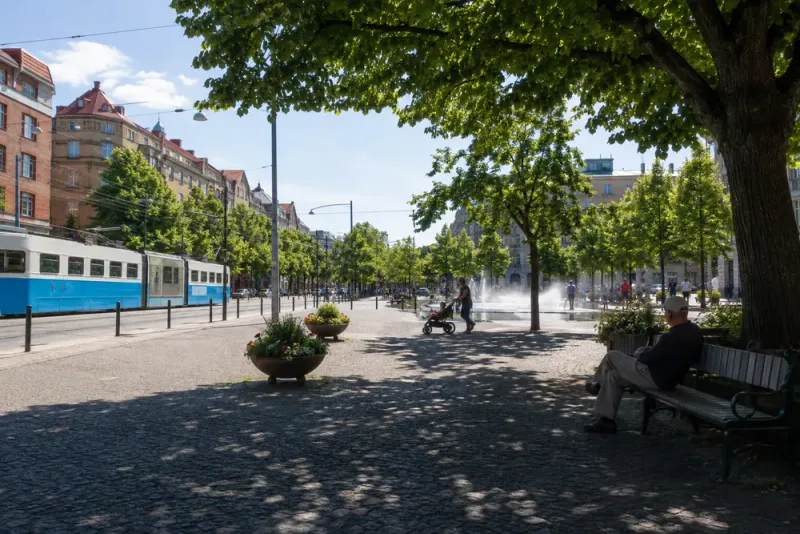 Miljöpartiet vill kyla Göteborg med 7 000 träd