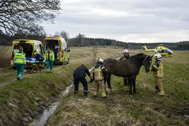 Kvinna livshotande skadad efter ridolycka