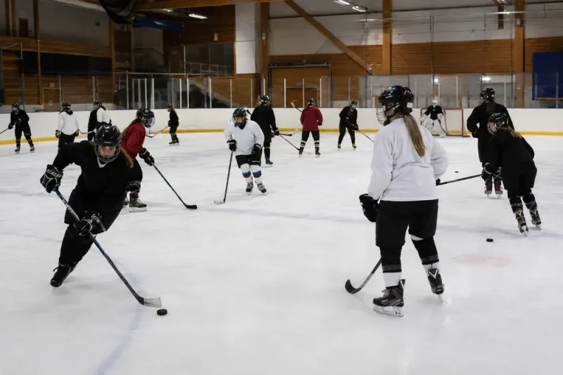 Lady Beasts samlar Ånges nya damhockeylag