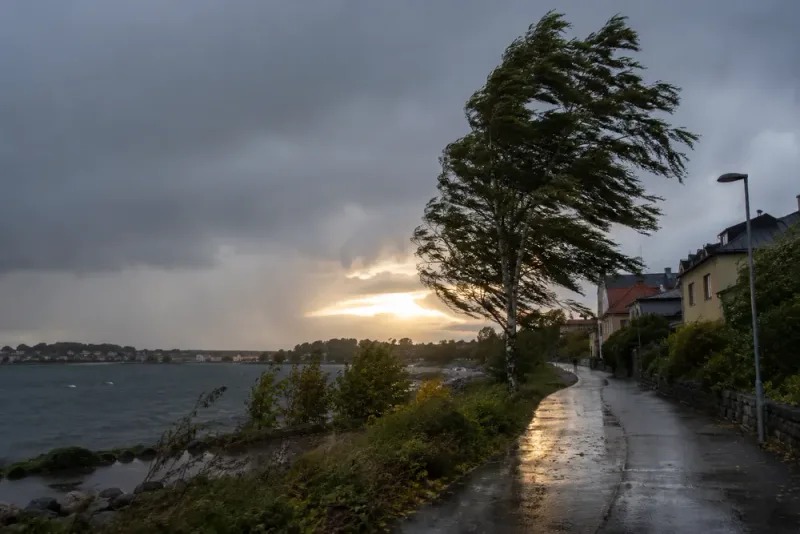 Regn och blåst drar in – kort solpaus väntar