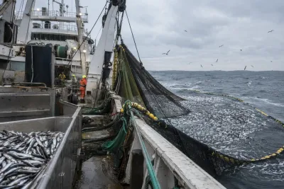 Fem partier vill stoppa industrifisket i Östersjön