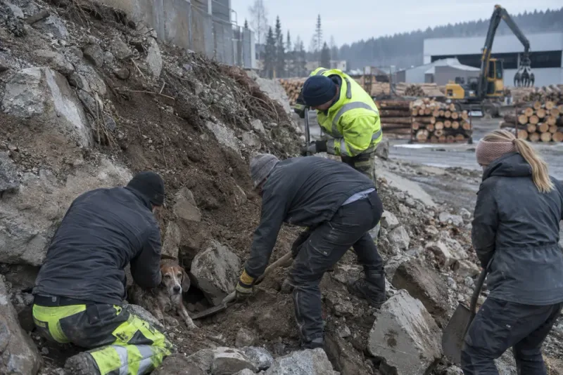 Tuss räddades efter ett dygn fast i bullervallen
