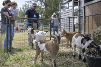 Rabies hos killingar väcker oro bland föräldrar