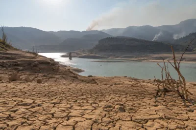 Augusti 2026 delar globalt temperaturrekord