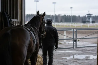 Veikko Haapakangas får sex månaders avstängning