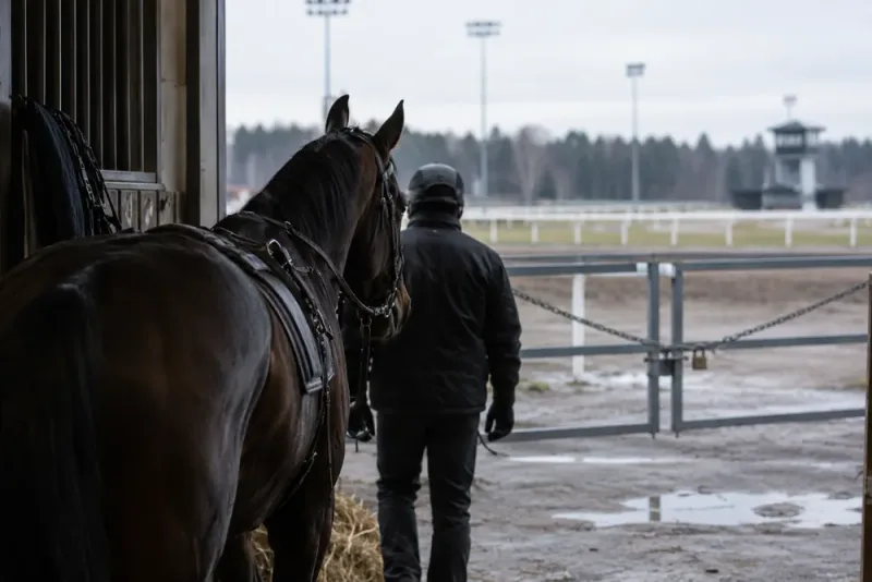 Veikko Haapakangas får sex månaders avstängning