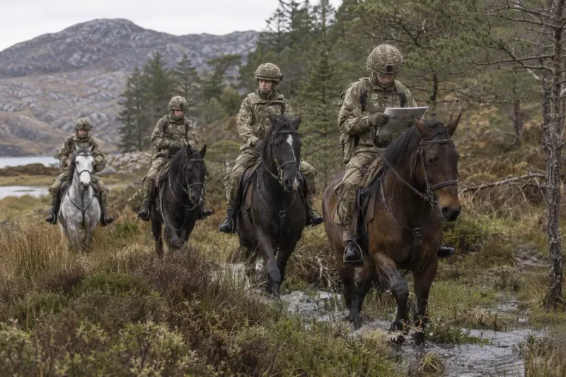Brittiska armén testar hästar för svår terräng