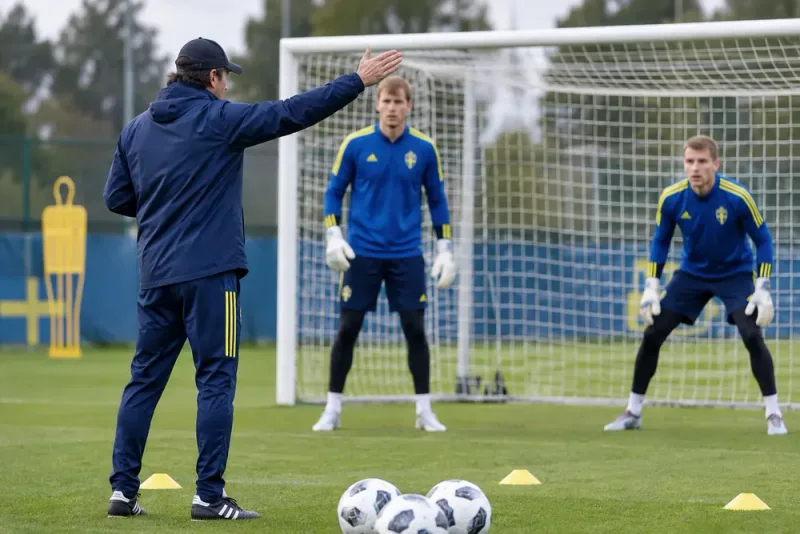 Zlatan Azinovic tar plats i Blågult
