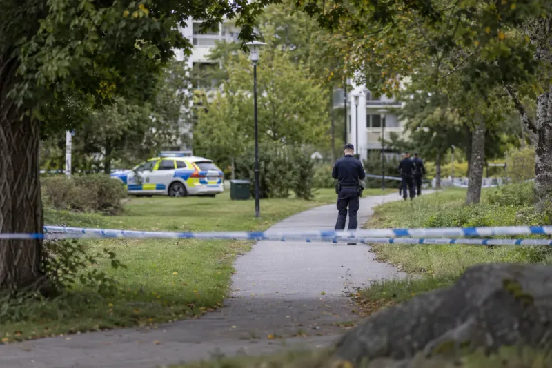 Ny misstänkt anhållen efter grov våldtäkt mot barn