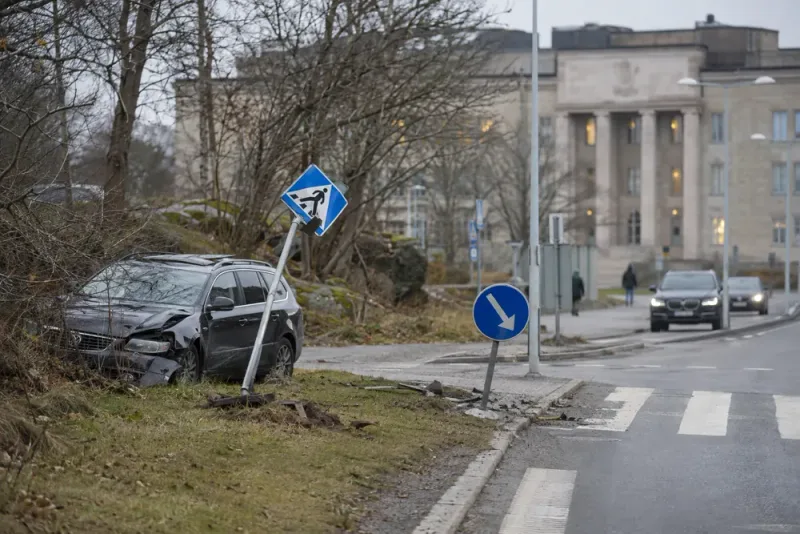 Katja Nyberg ifrågasätter uppgiften om djuret vid olyckan