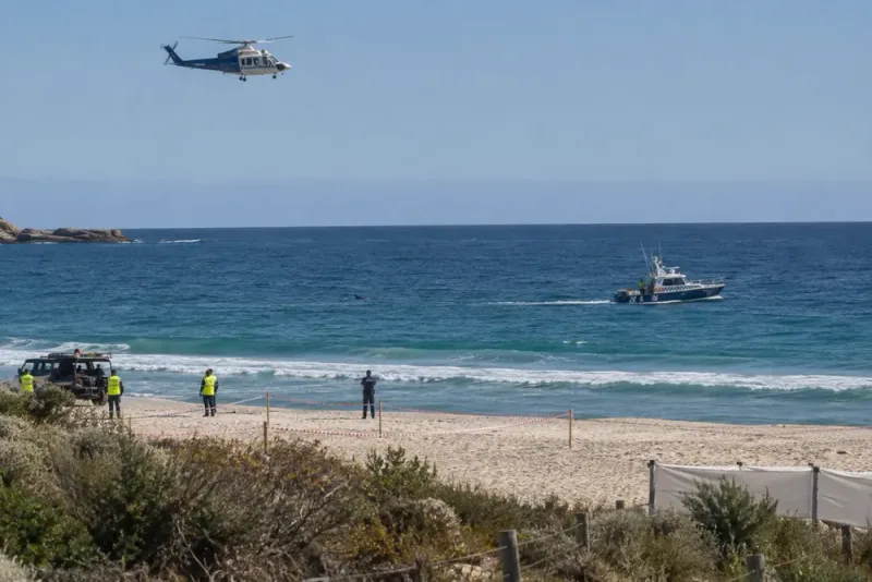 Man död efter hajattack utanför Perth