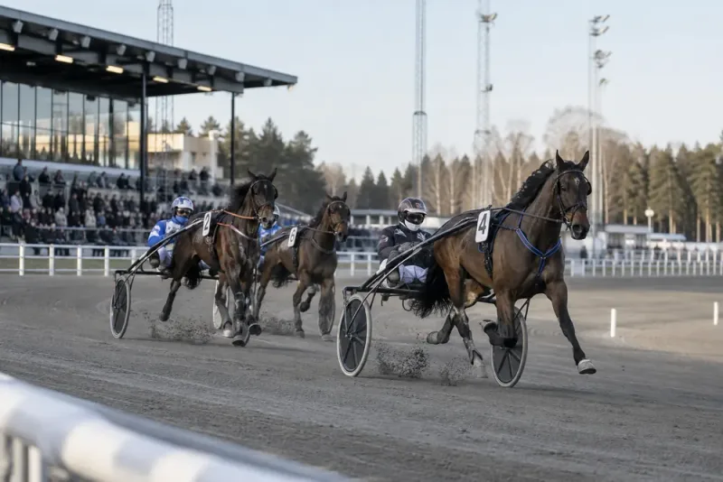 Magnus A Djuse pekar ut V85-dragen