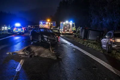 Tre bilar inblandade efter älgolycka på E22
