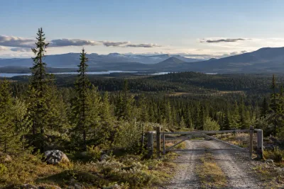 Alex Karp köper 13 000 hektar skog i Härjedalen