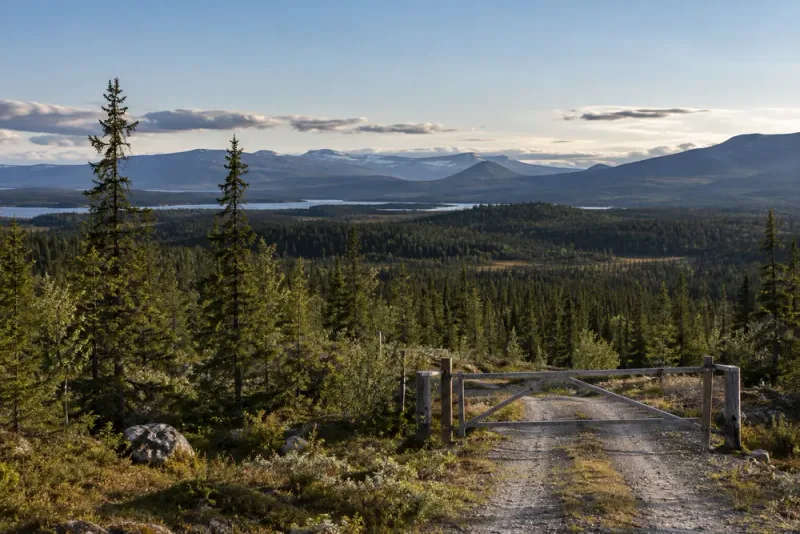 Alex Karp köper 13 000 hektar skog i Härjedalen