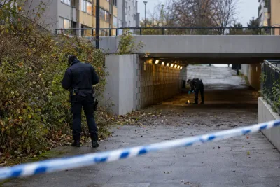 Tolv- och trettonåringar hade handgranater i Rosengård