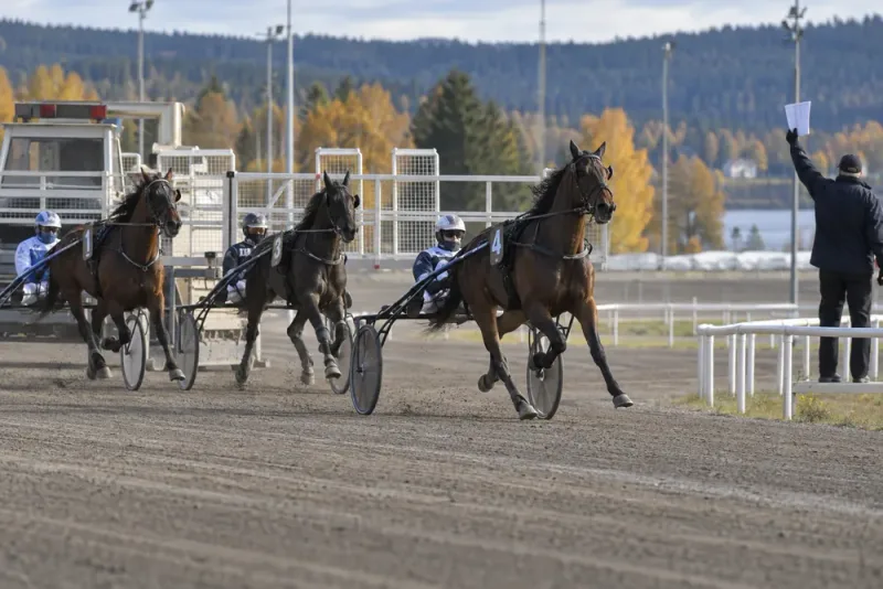 Startmiss bakom Southbeach Volos seger i Årjäng