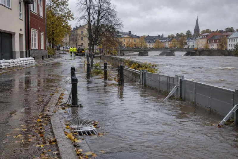 Klimatarbetet brister – expertråd kräver tydligare statligt ansvar