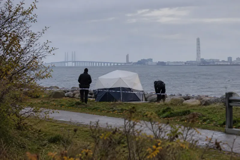 Man häktad efter misstänkt barnvåldtäkt i Malmö