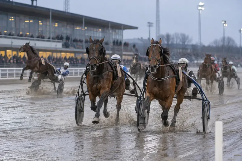 Dubbla skrällvinnare efter galoppkaos på Jägersro