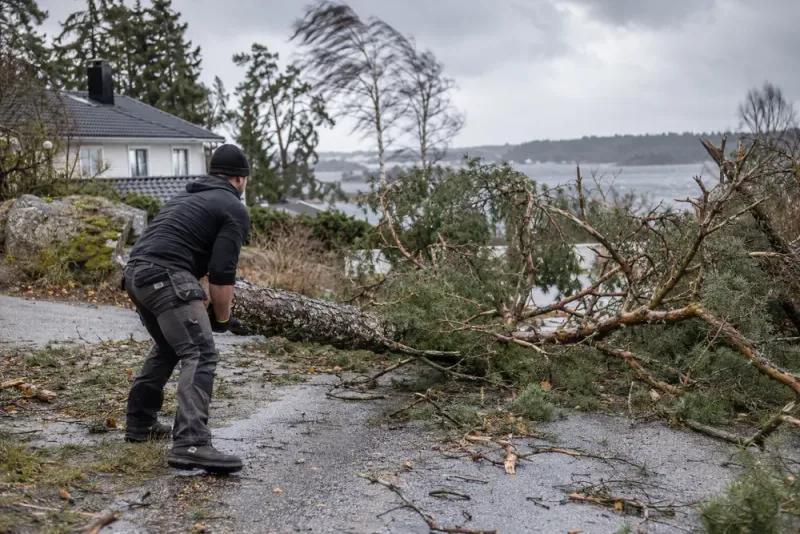Tofan Serin Batak erbjuder hjälp med stormfällda träd