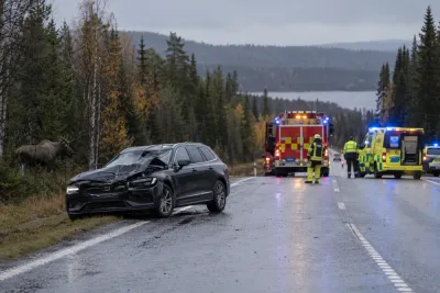 Personbil kolliderade med älg – fem personer inblandade