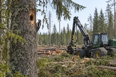 Regeringen drev lättnader i artskyddet efter möten med skogsindustrin
