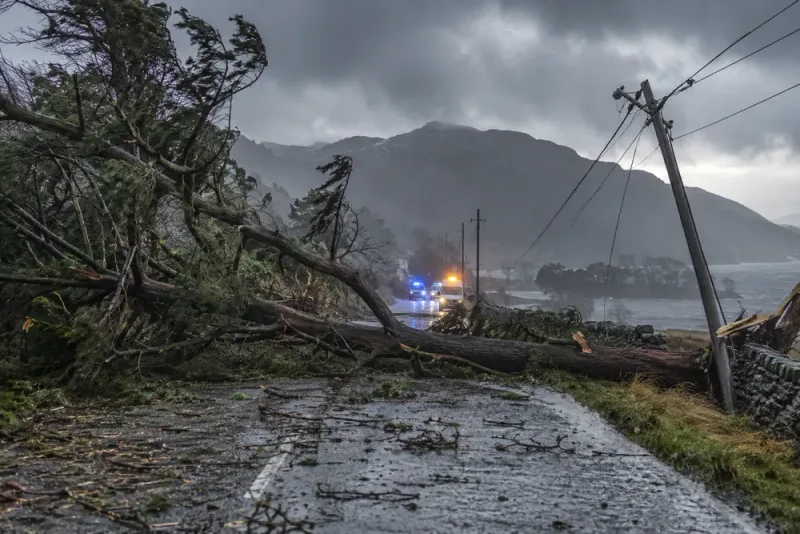 Man död i stormkaos – hundratusentals utan el