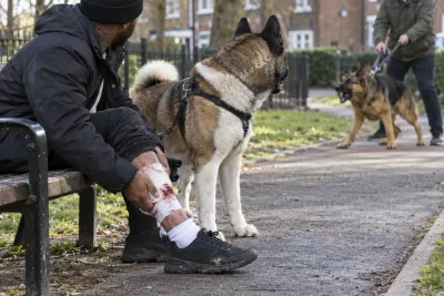 Jermaine Lloyd Pennant svårt biten under hundpromenad