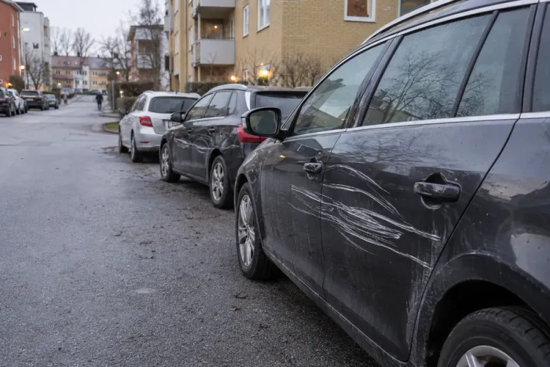 Ulf Borgström får fängelse efter omfattande bilskadegörelse