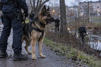 Polishunden Sid prisas efter livräddande ingripande