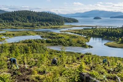 FN: 252 miljoner hektar förstörd natur återställs globalt