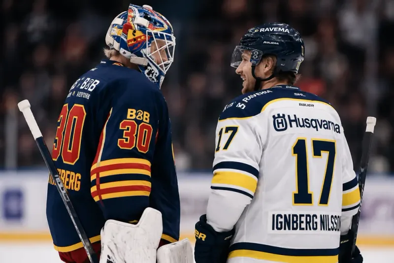 Hellberg avslöjar samtalet med HV71-forwarden
