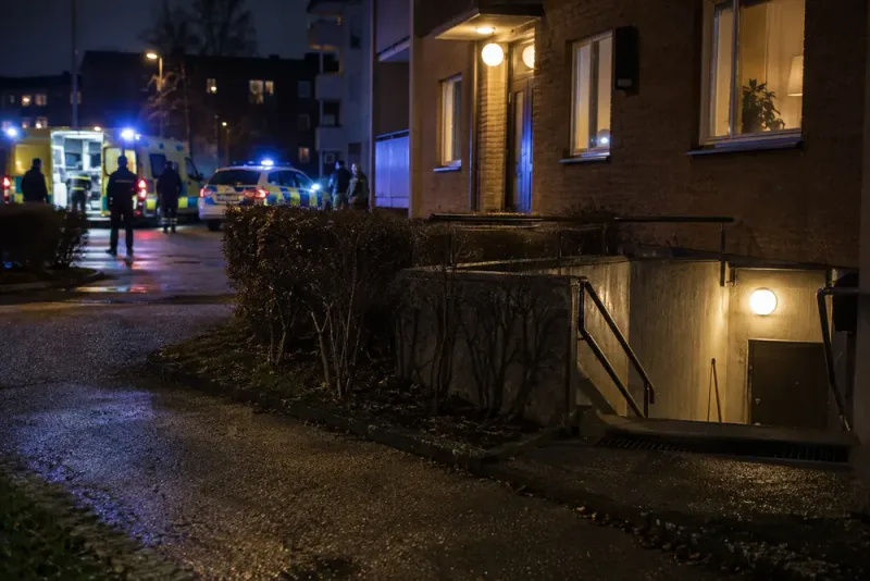 Bror knivhöggs nära vitala organ – får tio års fängelse