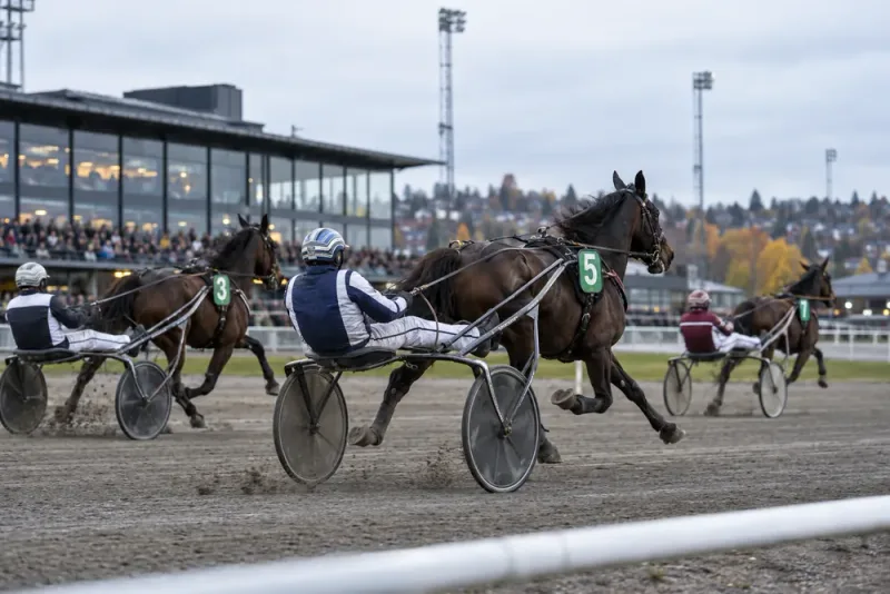 Magnus A Djuse pekar ut V85-favoriterna på Bjerke
