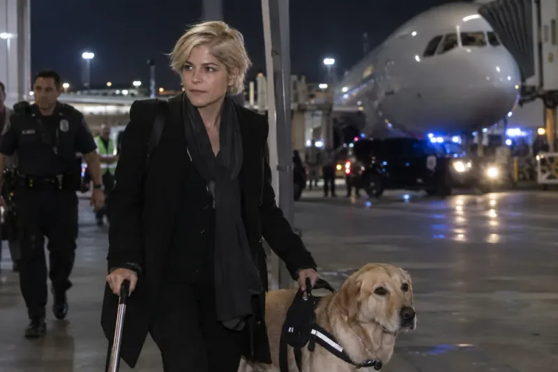 Selma Blair åtalas för misshandel efter flygincident