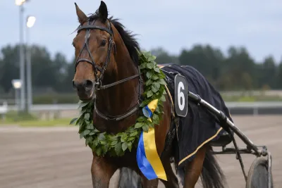 Neil Jung överlägsen – Amanda Hellström i tårar